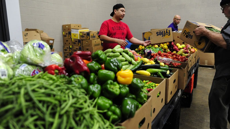 nutritious food distribution in the city
